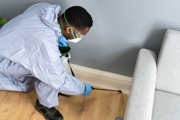 Professional Pest Control in Wading River, NY